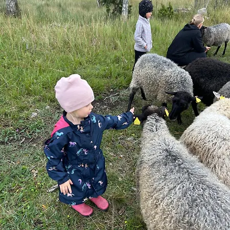 Muhu Kulla Saadu Puhkemaja Mere Aeaeres Gæstehus Raugi