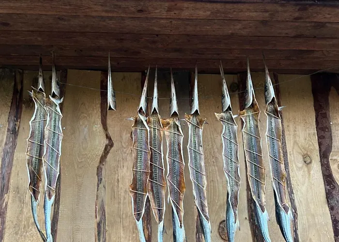 Muhu Kulla Saadu Puhkemaja Mere Aeaeres